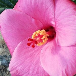 Meet your Posher, Jayce